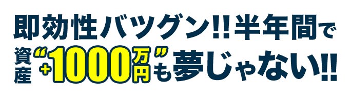 即効性バツグン!!半年間で資産「+1000万円」も夢じゃない!!